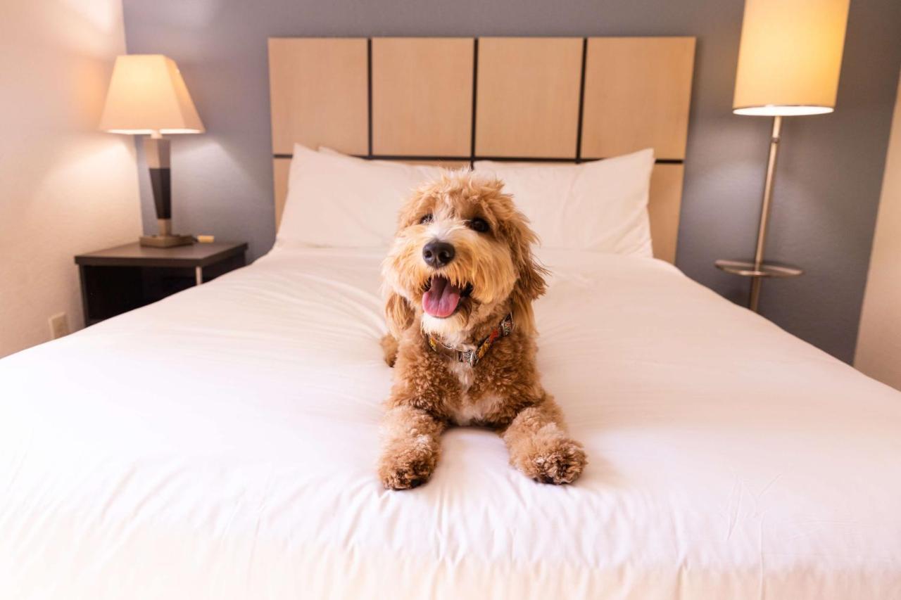 Sonesta Simply Suites Plano Frisco Экстерьер фото